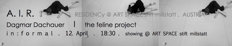 the feline project
